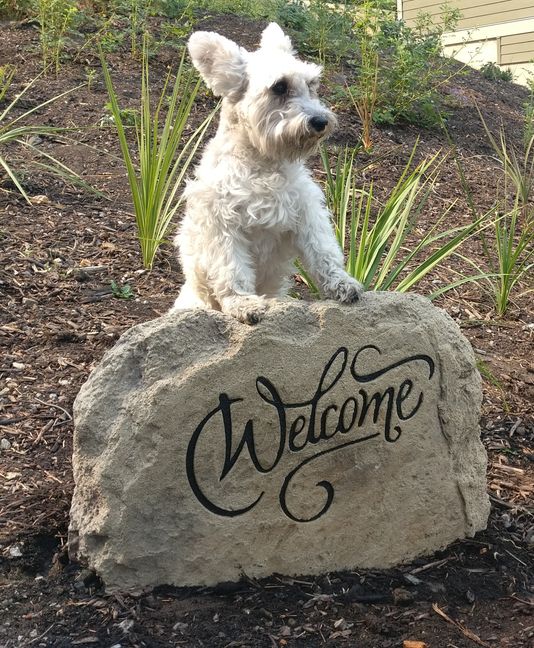 A wonderful welcome lookout! A welcome sign for your house
