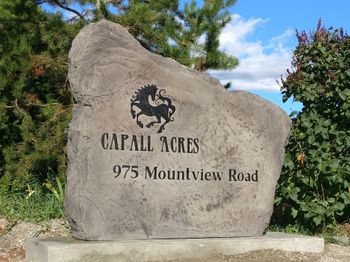 Engraved rock landmark signs in Kelowna, Vernon, Salmon Arm