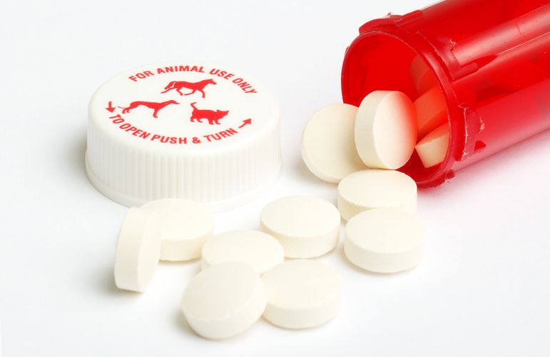 Pet Compounding