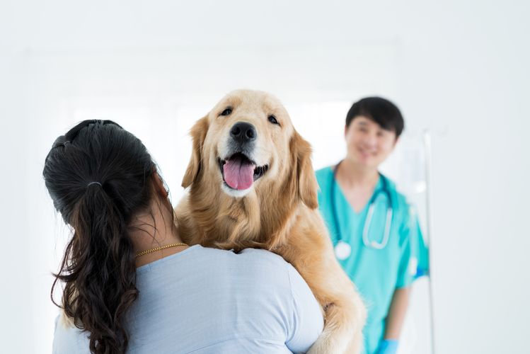 Woman holding a dog Pet Prescriptions