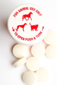 Pet Care