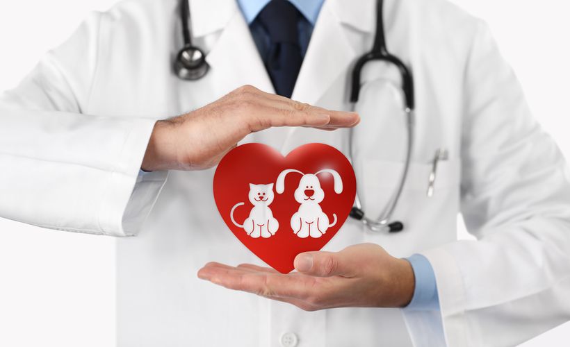 Pharmacist holding a heart with a cat and dog icon Pet Prescriptions