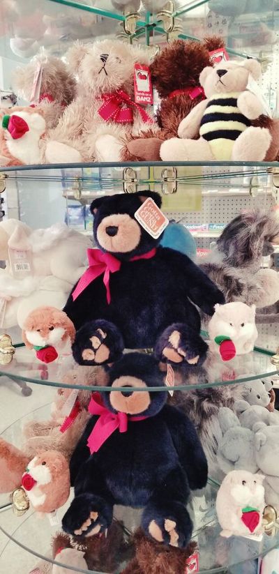 Variety of stuffed animals Gift Shop