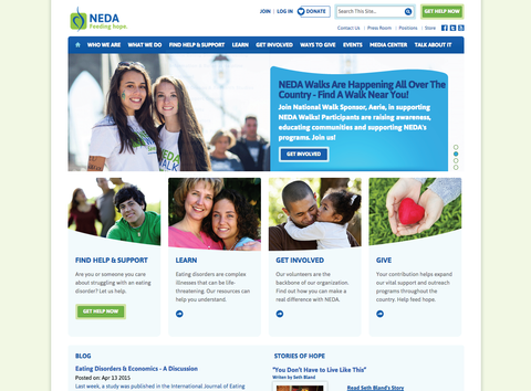 neda-website-screenshot.png