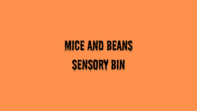 Mice and Bean Sensory Bin