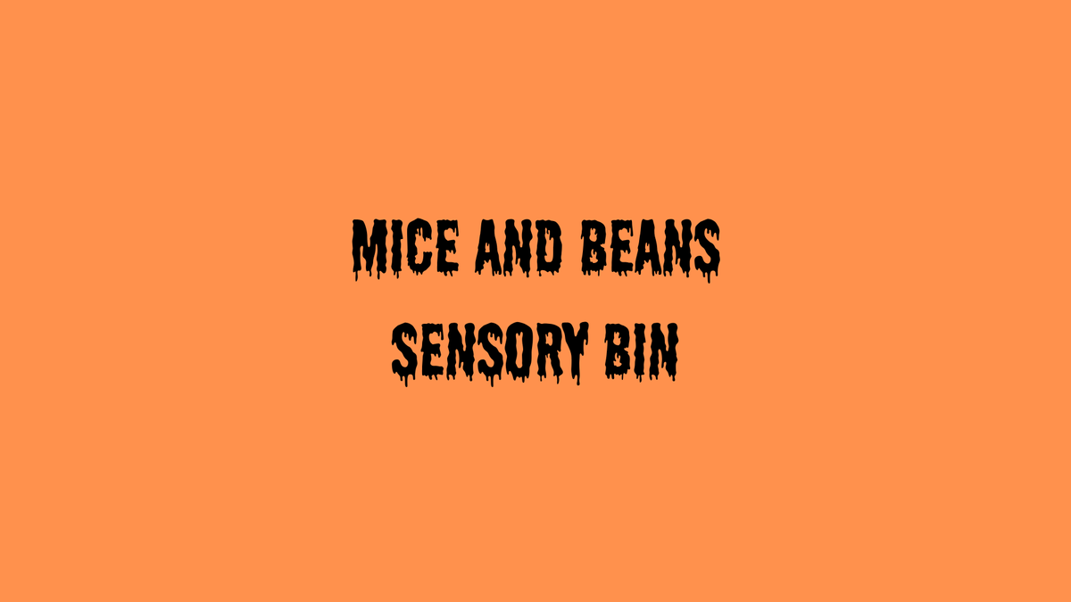 Mice and Bean Sensory Bin