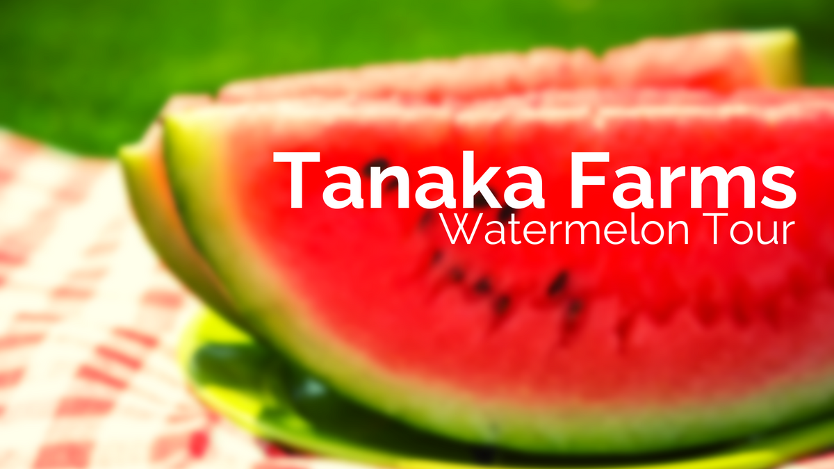 Tanaka Farms Watermelon