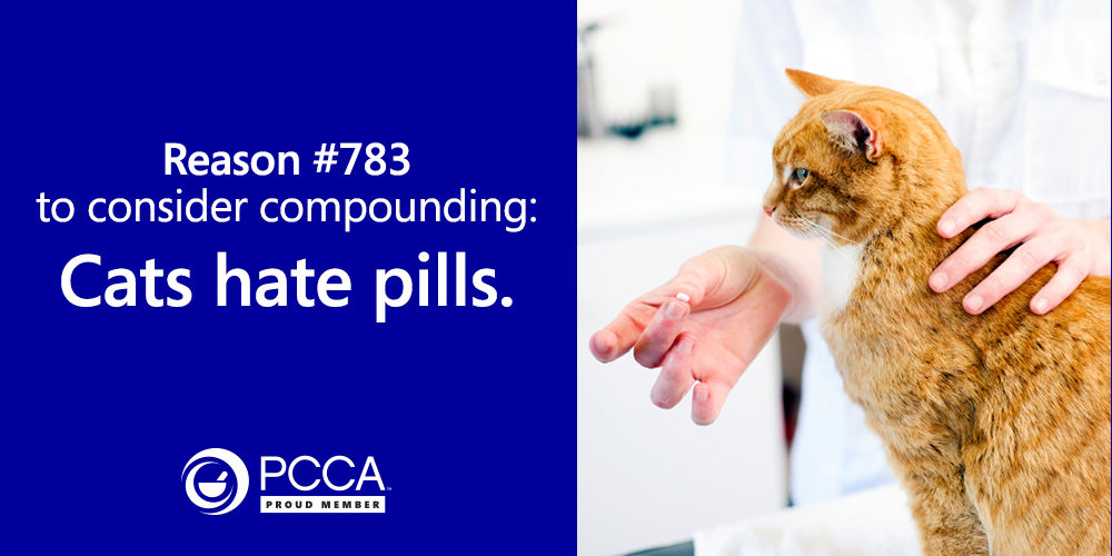 Reason number 783 to consider compounding: cats hate pills.