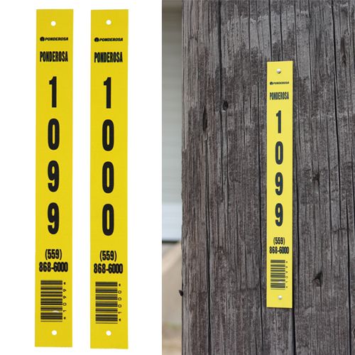 Identity Pole Tag.jpg