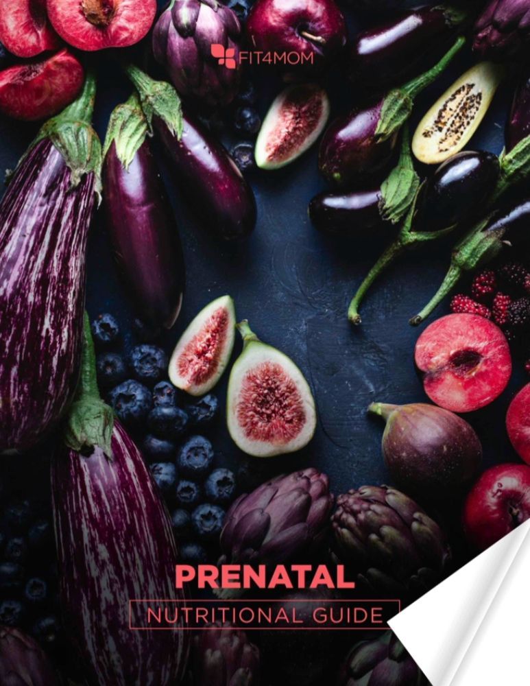 Prenatal Guide Cover Art.jpg