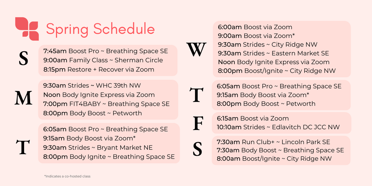 Single Image Schedule  8x4 (2).png