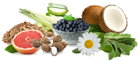 ingredients.png
