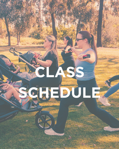 Class Schedule