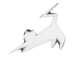 cat.png