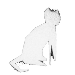 cat1.png