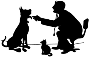 pollock pines vet.png