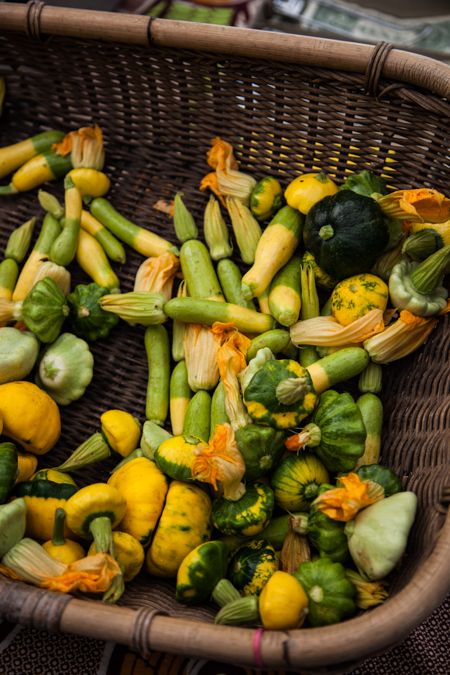 Summer Squash Sustainable Food Center