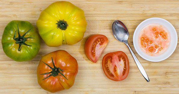 tomato-seed-saving-img-01_WEBSITE.jpg