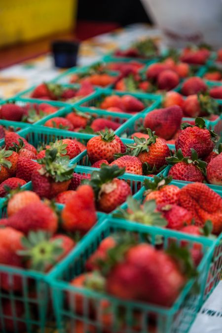 strawberries_in_baskets_450px.jpg
