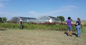 Petal Ink Farm Visit Greenhouses