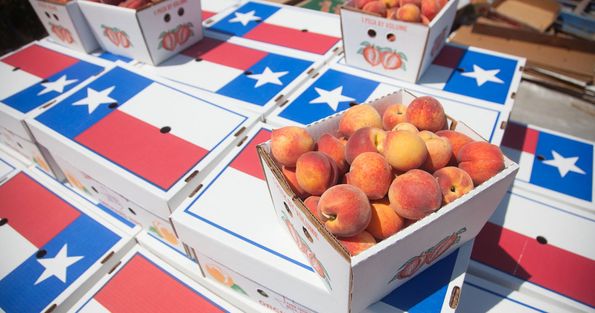 Lightsey Farms Texas Peaches Boxes