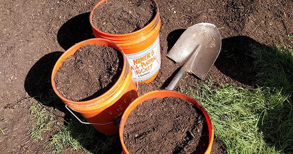 How To Fertilize Your Garden This Spring Sustainable Food Center