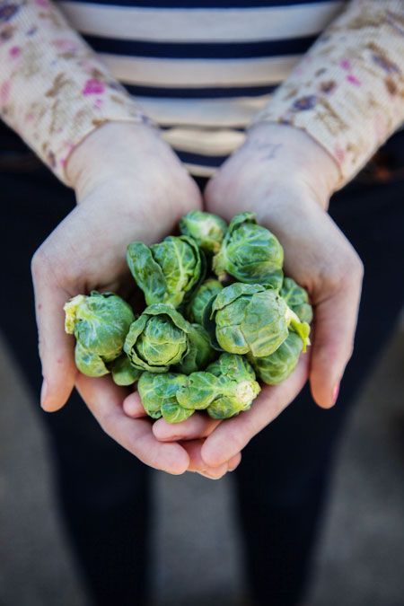 hands-holding-broccoli-SFC-Farmers-Market-Downtow-2014_WEBSITE.jpg