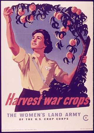 -Harvest_War_Crops,_The_Women's_Land_Army-_-_NARA_-_514440.jpg