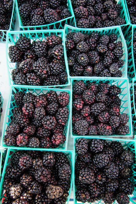 blackberries_450px.jpg
