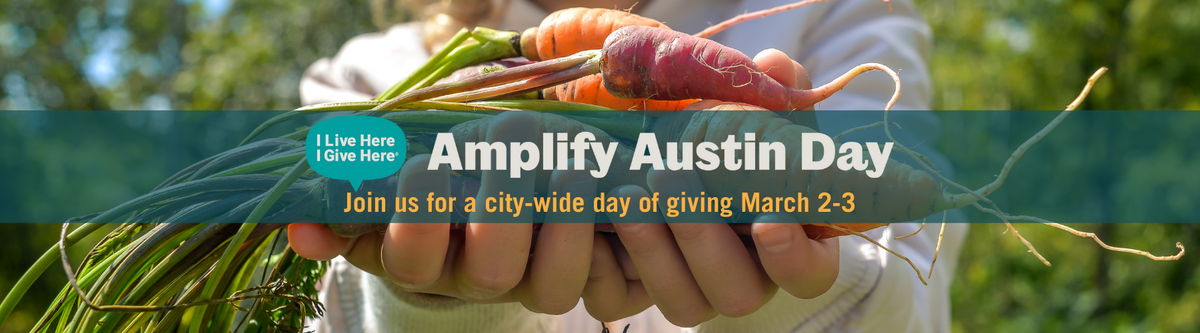 SFC website banner - Amplify Austin (1).png