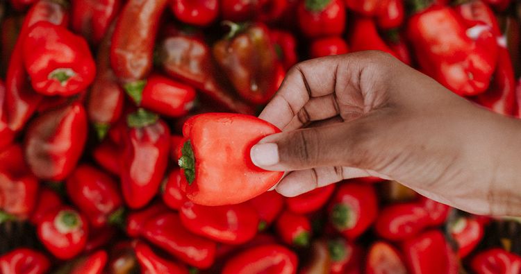 Hand Holding Red Pepper