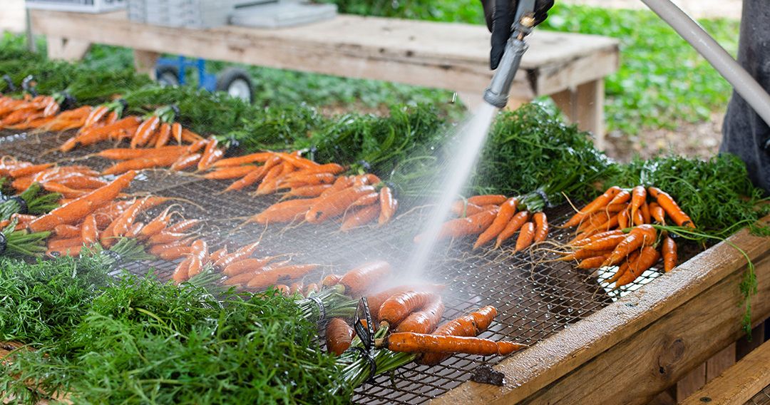 Local farmers are moving their produce to the frozen aisle