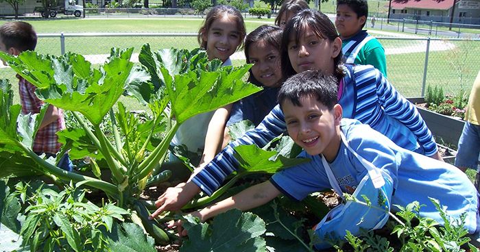 Sprouting-Healthy-Kids-project-old-photo_WEBSITE.jpg