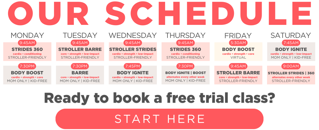 schedule 2026 website