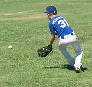 BaseballPic1.png