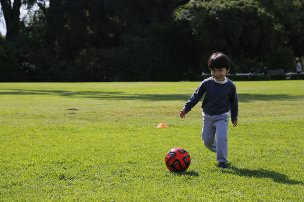 SMSoccer.jpeg