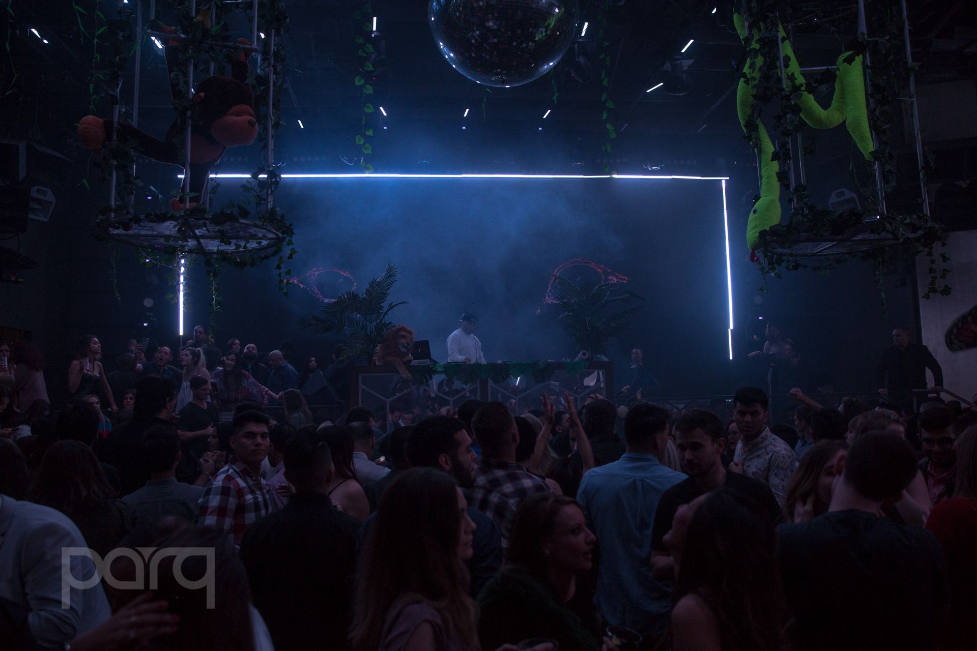 San-Diego-Nightclub-Zoo Funktion-16.jpg