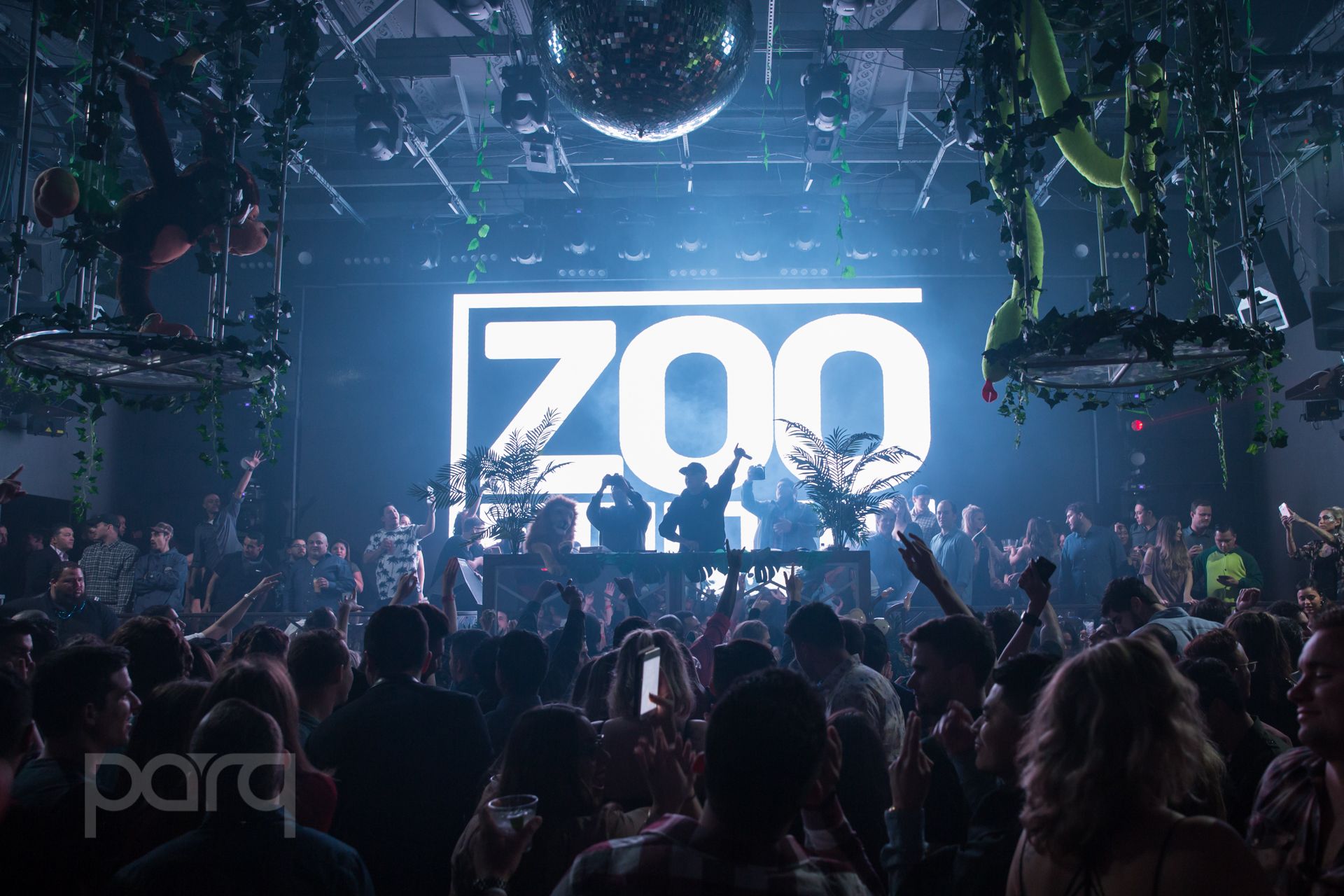 San-Diego-Nightclub-Zoo Funktion-1.jpg
