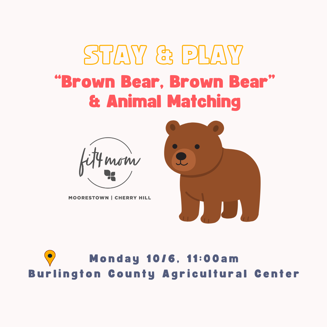 Stay & Play Brown Bear 10-06-25 (Square) (1).png