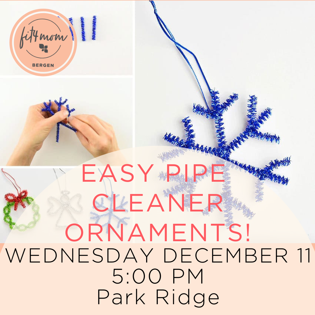 Dec 11 Easy Pipe Cleaner Ornaments!.png