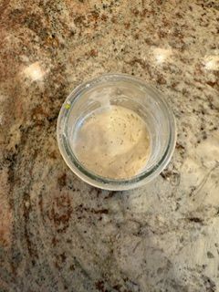 IMG_4462.jpeg