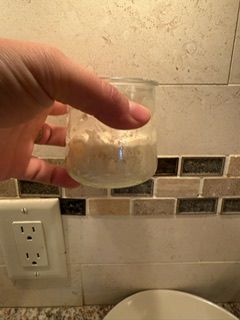 IMG_4479.jpeg