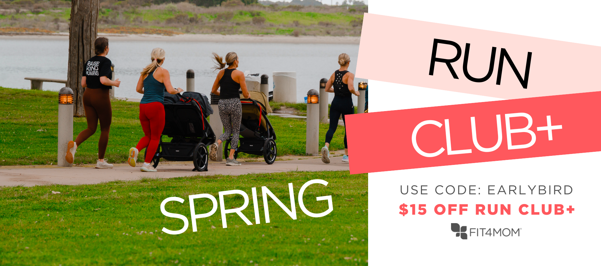 Copy of Copy of FRAN - FREE - Black Friday -  Website Slider (6).png