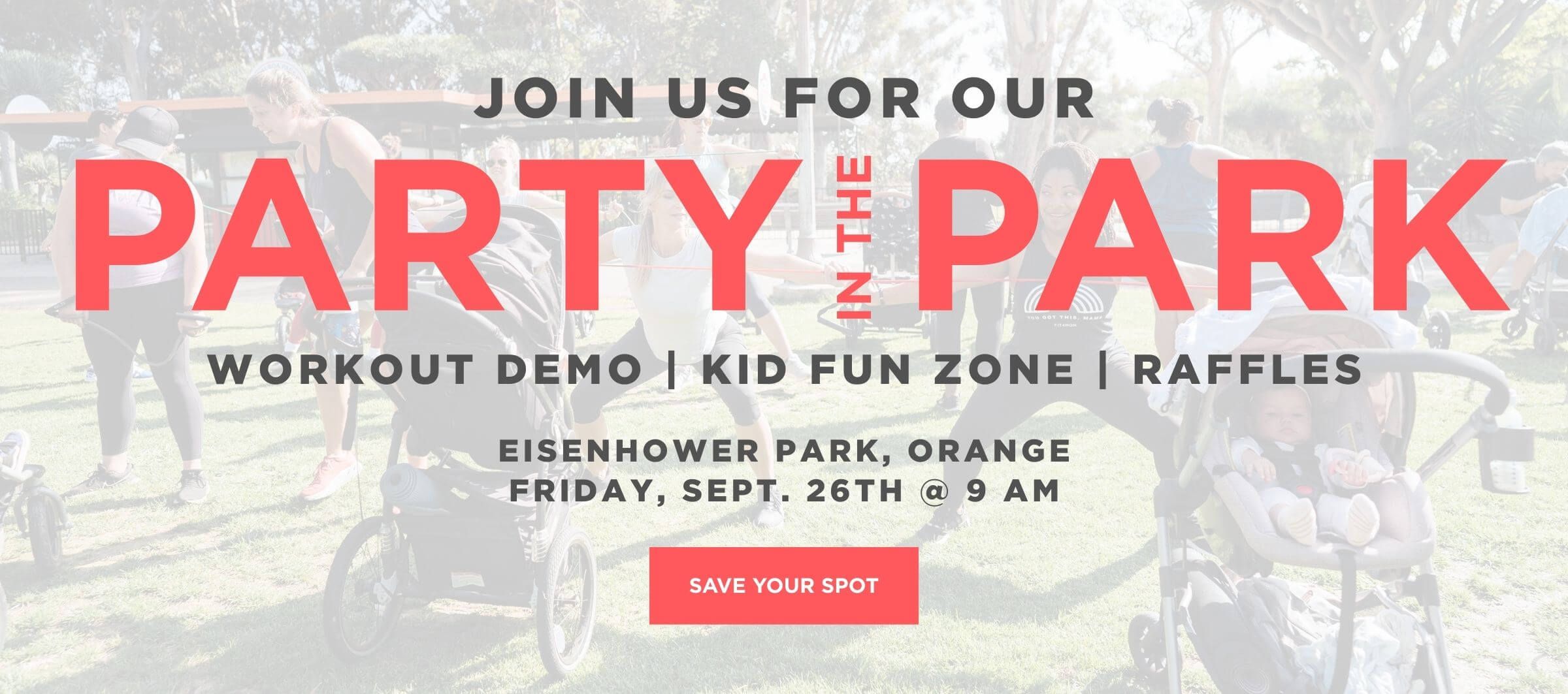 Party in the Park