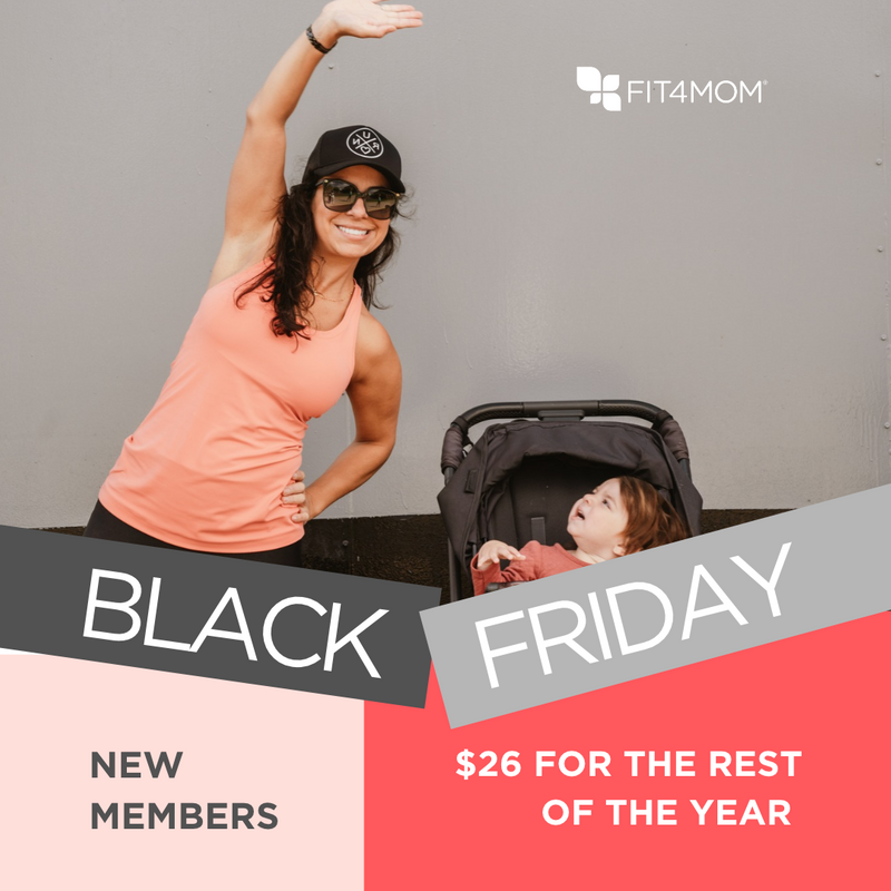 Black Friday - Rest of the Year for $26