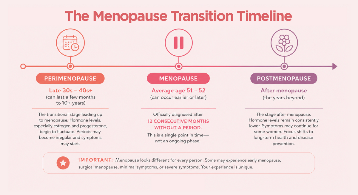 The-Menopause-Transition.png