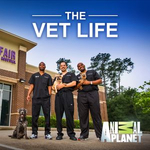 vet life.jpg