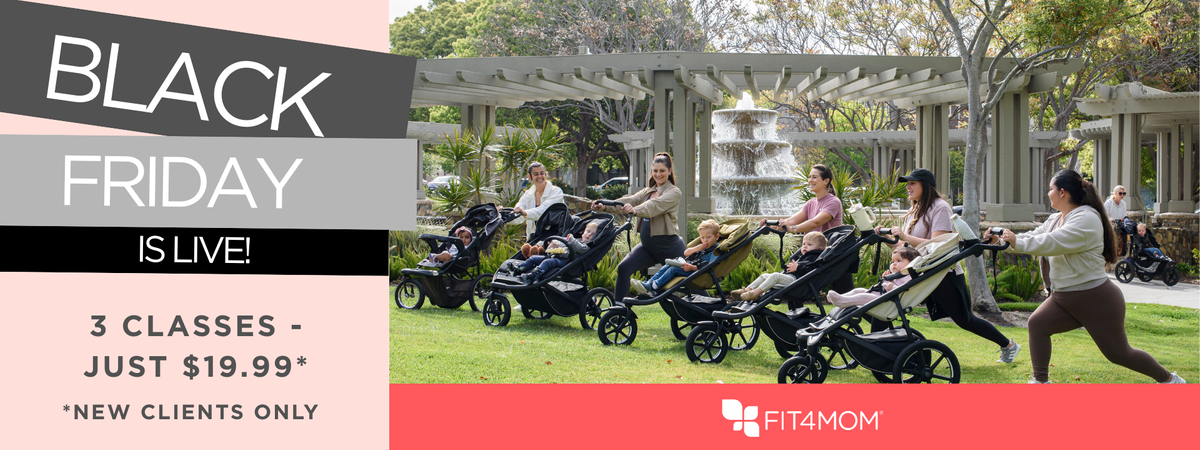 Copy of FRAN - FREE - Black Friday -  Banner .png