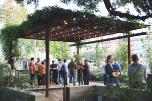 Jester King-4.jpg