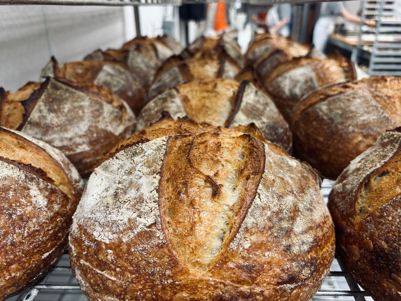 sourdough_many_gorgeous.jpg